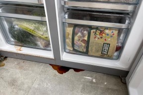 冰箱漏氟了怎么办（急救措施与专业维修指南）
