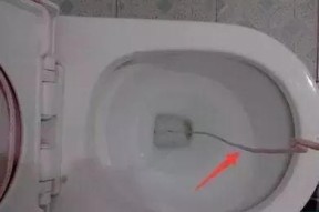 马桶水箱清洁的简便方法（让你的马桶水箱保持清洁与卫生）