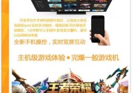 家庭游戏机大屏幕设置步骤有哪些？