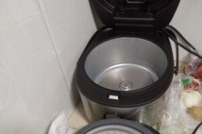 电饭煲水排不出去的原因及解决方法（揭秘电饭煲排水问题）