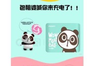 灵充电子充电器使用方法是什么？使用过程中应注意什么？
