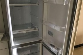 如何正确处理不锈钢冰箱以保持其质量和寿命（关键步骤及技巧）