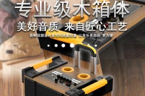 美声31音箱音质如何？性价比高吗？