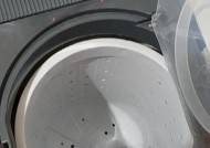 双缸洗衣机的清洗方法与技巧（轻松保持洗衣机清洁）