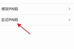 如何解决忘记平板电脑PIN的问题（忘记PIN码怎么办）