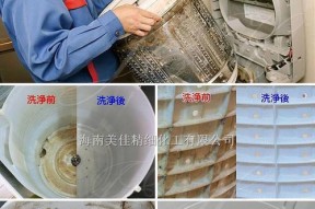 洗衣机清洗方法大全（轻松学会以上门清理洗衣机的正确步骤）