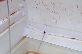 冰柜管子坏了怎么处理（应对冰柜管子损坏的方法和步骤）