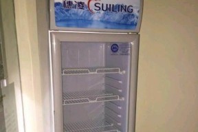冰柜漏雪维修方法（轻松应对冰柜漏雪问题的维修技巧）
