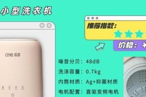 洗衣机脱水尖叫的原因及解决方法（探究洗衣机脱水时发出尖叫声的问题及有效解决方案）