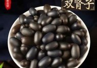龙子电磁炉故障代码及解决方法（了解常见故障代码）