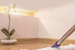 如何处理洗衣机内的蟑螂问题（有效清除洗衣机内的蟑螂）