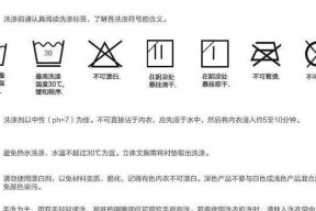 如何正确清洗抽油烟机滤网（掌握清洗技巧）