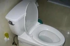科勒马桶按键没反应的原因及更换马桶水箱按钮方法（科勒马桶按键无法正常工作是什么原因）