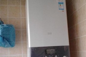 家用老式壁挂炉漏水的处理方法（解决家用老式壁挂炉漏水问题的有效方法）