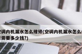 空调制冷为何会漏水（探究空调漏水的原因及解决方法）