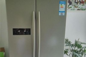 科龙冰箱嗡嗡响原因解析（揭秘科龙冰箱嗡嗡响的根源及解决方案）