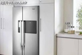 冰箱出现水声问题的修理方法（保持冷藏设备的正常运行——冰箱维护指南）