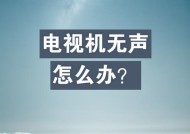 电视机无频道显示怎么办？声音正常但无图像如何解决？