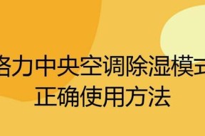 格力中央空调异味处理方法（去除异味的简单有效方法）