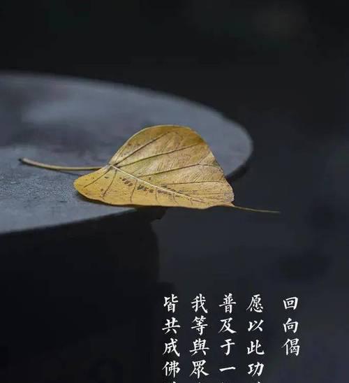 探讨佛法中的色即是空理论（揭示万物无常的真相）  第1张