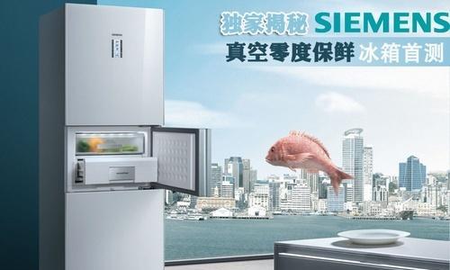 解读伊莱克斯冰箱显示2e故障及维修方法（探寻冰箱制冷显示2e错误的可能原因和解决方案）  第1张