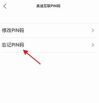 如何解决忘记平板电脑PIN的问题（忘记PIN码怎么办）  第1张