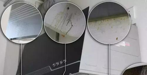 美仕抽油烟机的滤网清洗方法（轻松解决油烟困扰的关键一招）  第2张