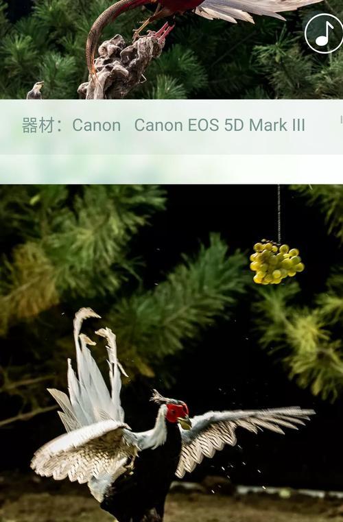 手机视频中怎么拍照？捕捉精彩瞬间的技巧是什么？  第2张