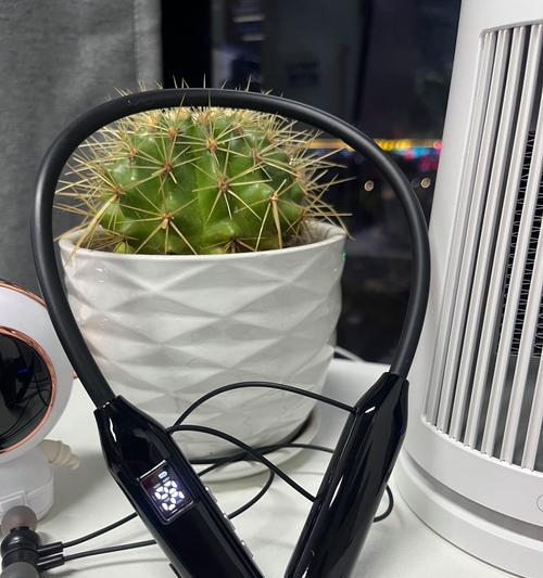 连相机的蓝牙耳机叫什么？使用这种耳机有哪些注意事项？  第3张